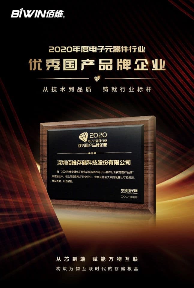 Award for BIWIN: China Outstanding Domestic Brand